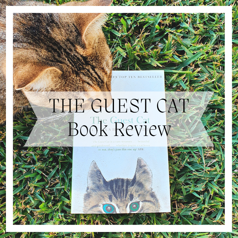 The Guest Cat Book Review – Emily Morrison